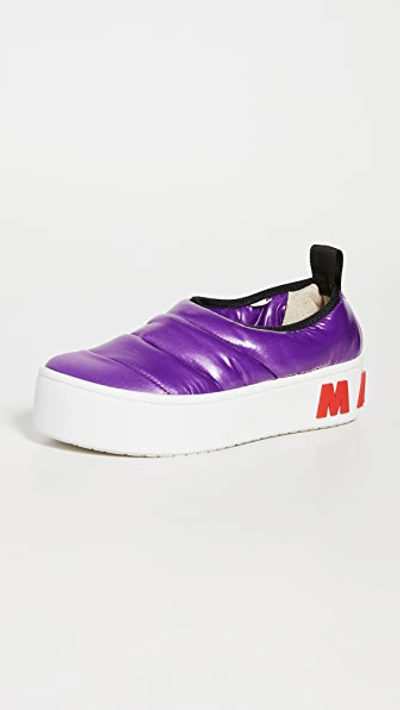 Shop Marni Paw Sneakers
