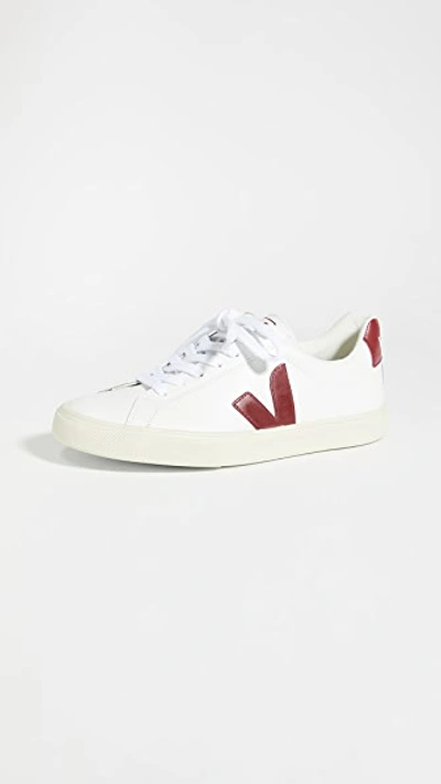 Shop Veja Esplar Logo Sneakers In Extra-white/venus Marsala