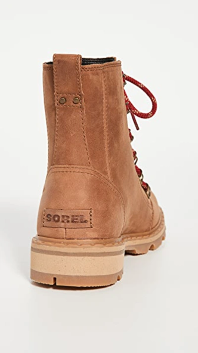 Shop Sorel Lennox Lace Naturebear Combat Boots