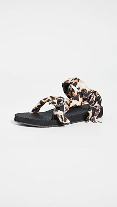 Shop Arizona Love Trekky Fun Sandals In Leopard
