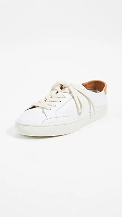 Ibiza Classic Lace Up Sneakers