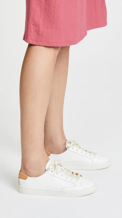 Soludos Ibiza Classic Lace Up Sneakers In White