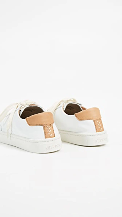 Ibiza Classic Lace Up Sneakers