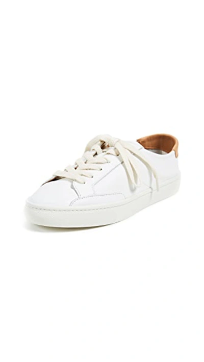 Shop Soludos Ibiza Classic Lace Up Sneakers White