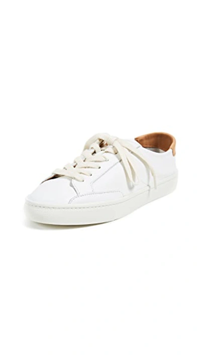 Soludos Ibiza Classic Lace Up Sneakers In White