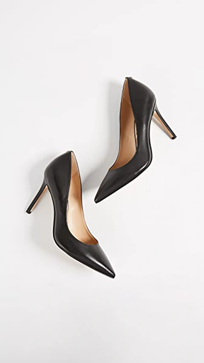 Sam Edelman Hazel Pointed Toe Pump In Black