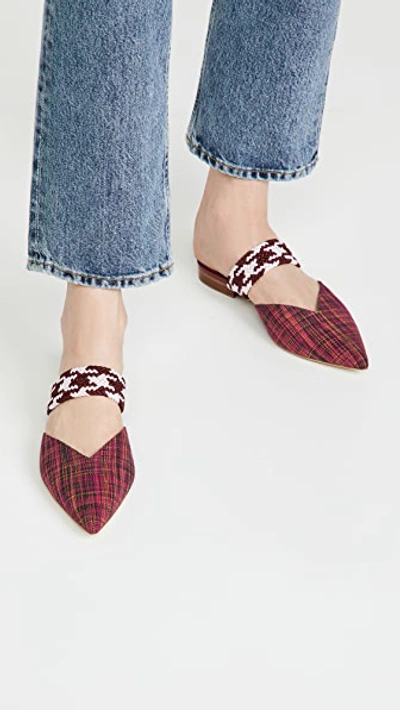 Shop Malone Souliers Maisie Flats 46 In Fuchsia