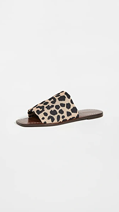 Loeffler Randall Women's Daria Slip On Slide Sandals In Leopard | ModeSens