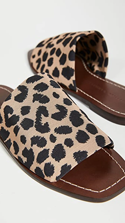Shop Loeffler Randall Daria Stretch Square Toe Slides In Leopard/dark Brown