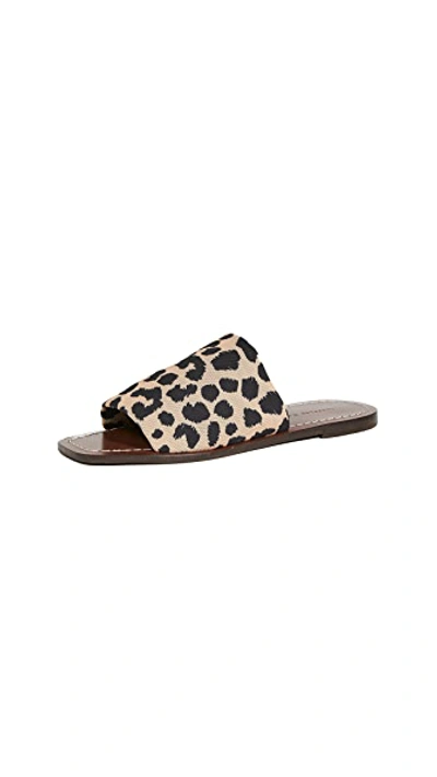 Shop Loeffler Randall Daria Stretch Square Toe Slides In Leopard/dark Brown