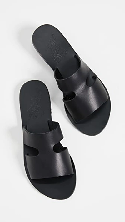 Shop Ancient Greek Sandals Apteros Slides In Black