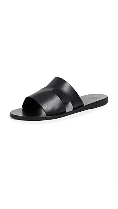 Shop Ancient Greek Sandals Apteros Slides In Black