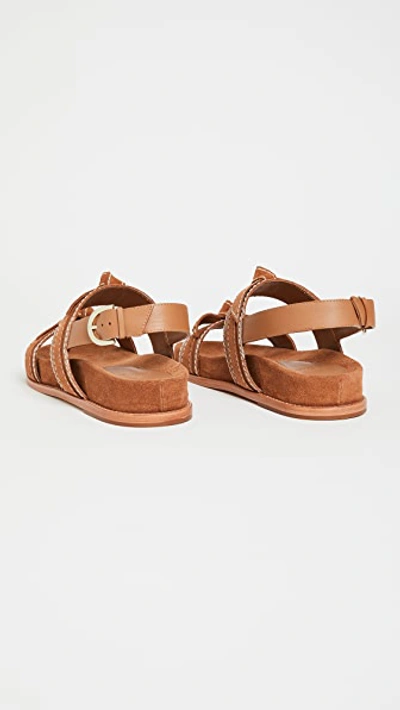 Shop Alexandre Birman Clarita Sport Sandals In Cuoio