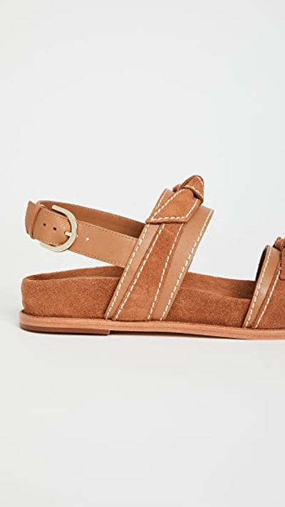 Shop Alexandre Birman Clarita Sport Sandals In Cuoio