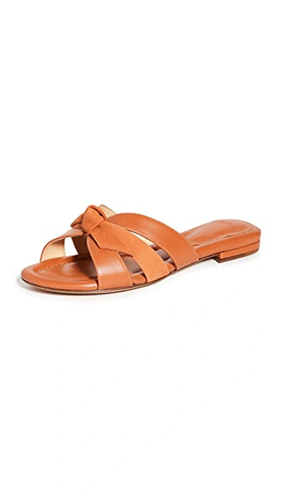 Shop Alexandre Birman Suelita Flat Sandals In Golden Ochre