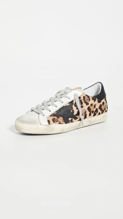 Shop Golden Goose Superstar Sneakers In Snow Leopard/black