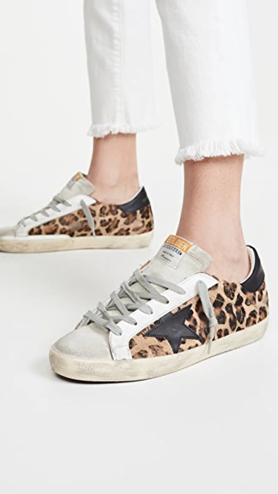 Shop Golden Goose Superstar Sneakers In Snow Leopard/black