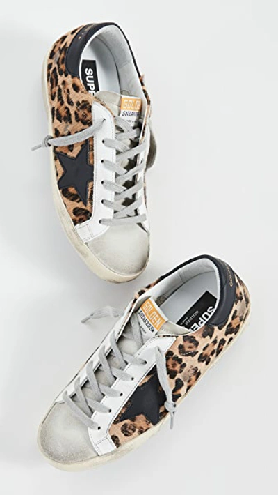 Shop Golden Goose Superstar Sneakers In Snow Leopard/black