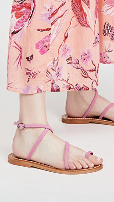 Shop Kjacques Loki Sandals In Nubuck Hibiscus