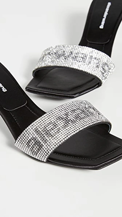 Jessie Crystal Logo Slides