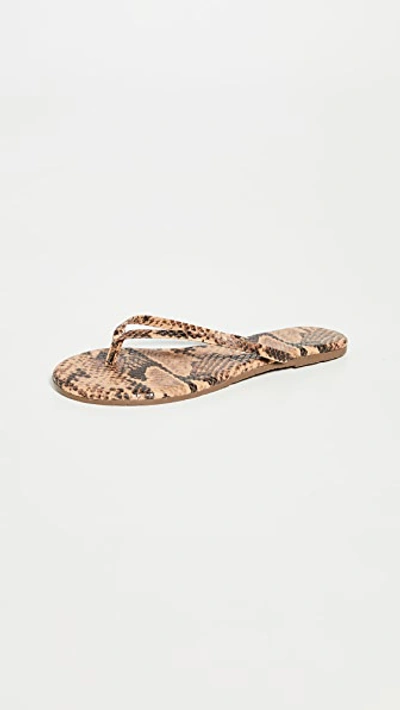 Shop Tkees Studio Exotic Flip Flops In Coco Snake