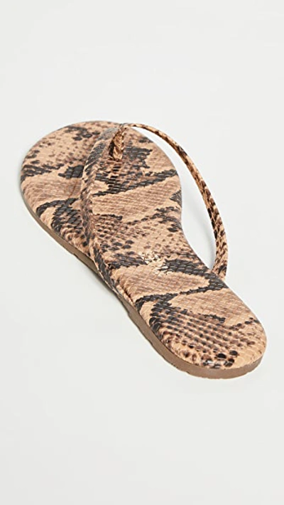 Shop Tkees Studio Exotic Flip Flops In Coco Snake