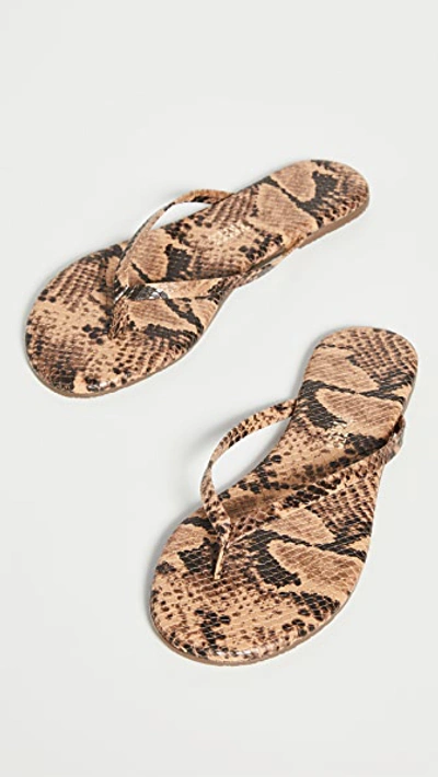 Shop Tkees Studio Exotic Flip Flops In Coco Snake