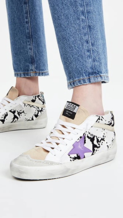 Shop Golden Goose Mid Star Sneakers In Grey Python/ice/cappuccino