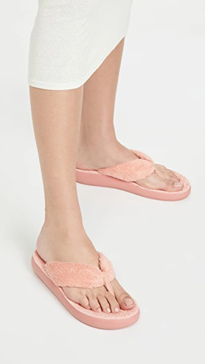Shop Ancient Greek Sandals Charisma Comfort Terry Flip Flops