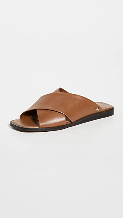 Sam Edelman Criss Cross Sandals Shop | bellvalefarms.com