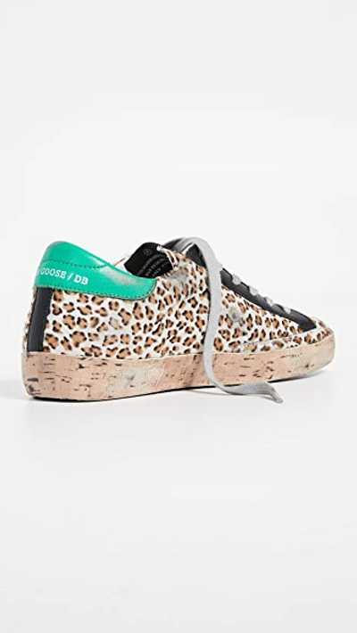 Shop Golden Goose Superstar Sneakers In Leopard/cork