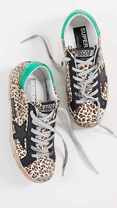 Shop Golden Goose Superstar Sneakers In Leopard/cork