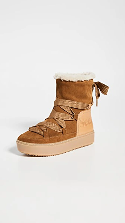 Shop See By Chloé Charlee Shearling Ankle Boots