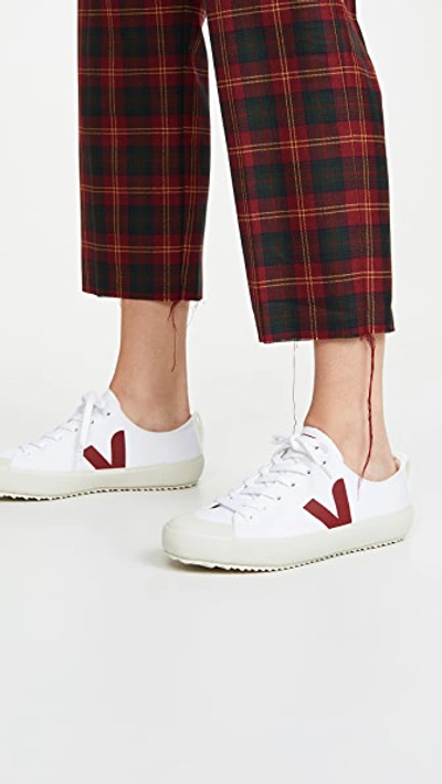 Shop Veja Nova Sneakers In White/marsala