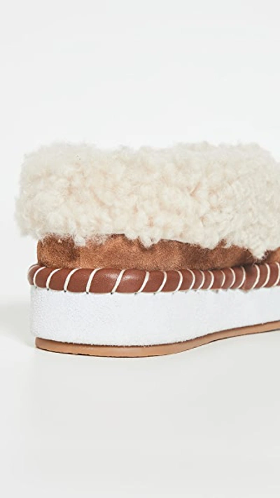 Shop Tory Burch Shearling Slippers