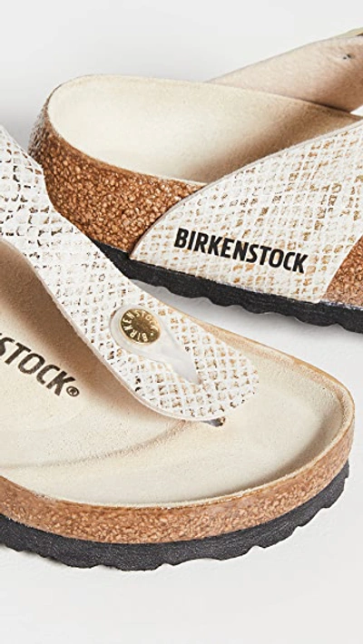 Shop Birkenstock Gizeh Sandals
