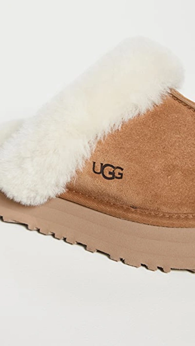 Ugg Disquette Sheepskin And Suede Comfort Slide In Chestnut