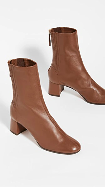 Shop Aquazzura Saint Honore' Booties 50mm Cinnamon