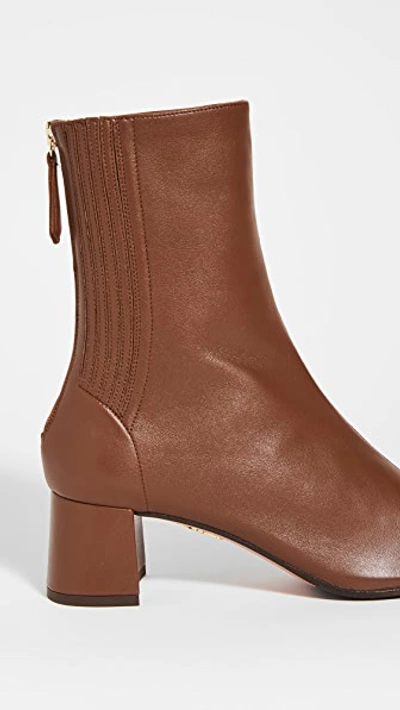 Shop Aquazzura Saint Honore' Booties 50mm Cinnamon