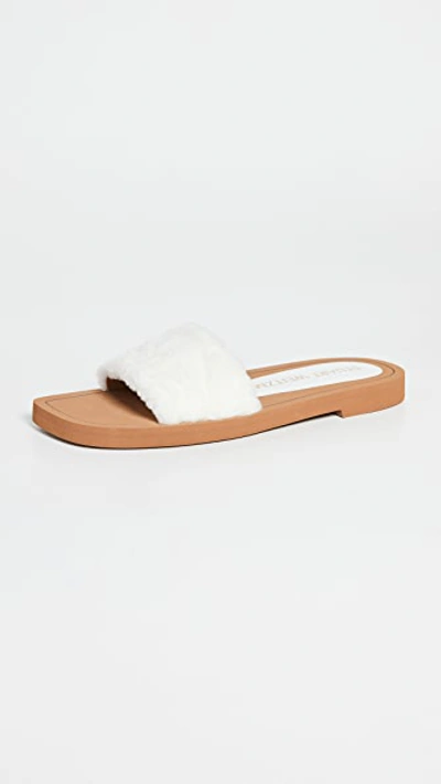 Shop Stuart Weitzman Cammy Slide Sandals