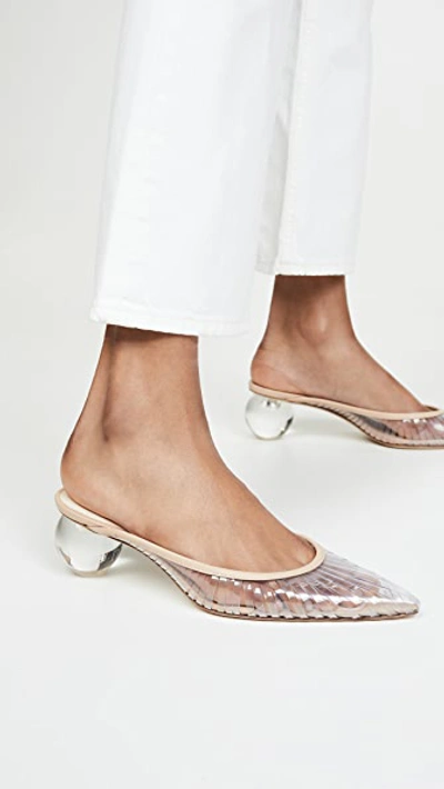 Shop Cult Gaia Alia Pumps Clear