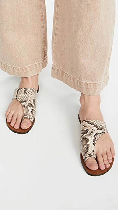 Shop Atp Atelier Rosa Sandals In Beige