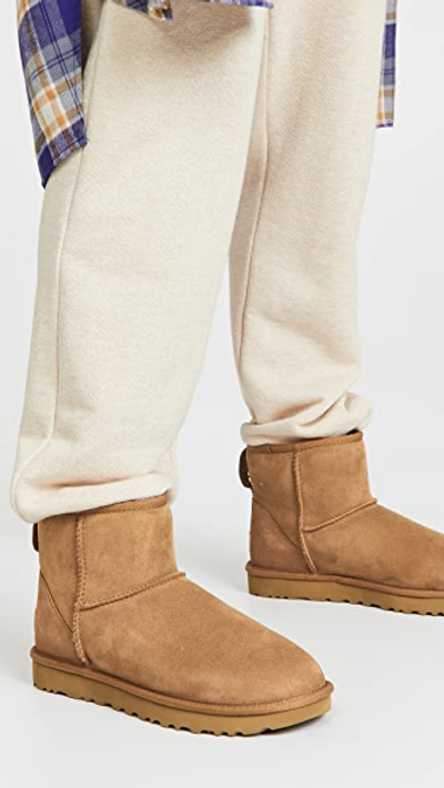 Ugg Womens Classic Mini Ii Boots In Chestnut