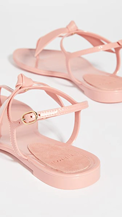 Shop Alexandre Birman Clarita Jelly Sandals In Rose