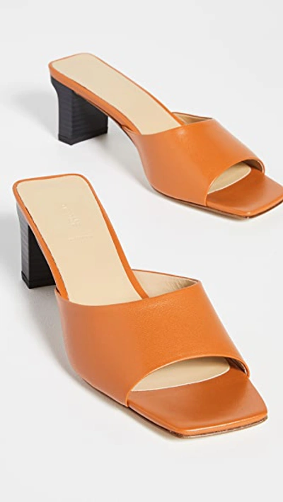 Shop Aeyde Katti Sandals In Saffron