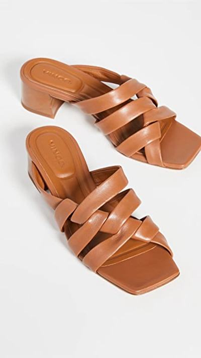 Shop Vince Tessa Sandals In Cuoio