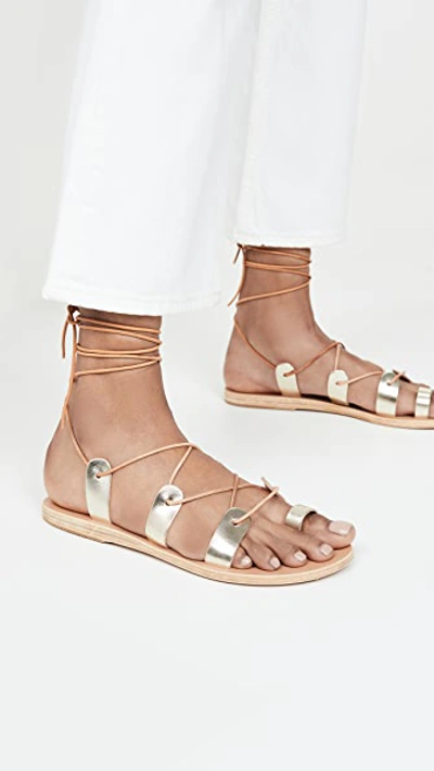 Shop Ancient Greek Sandals Alcyone Sandals In Platinum