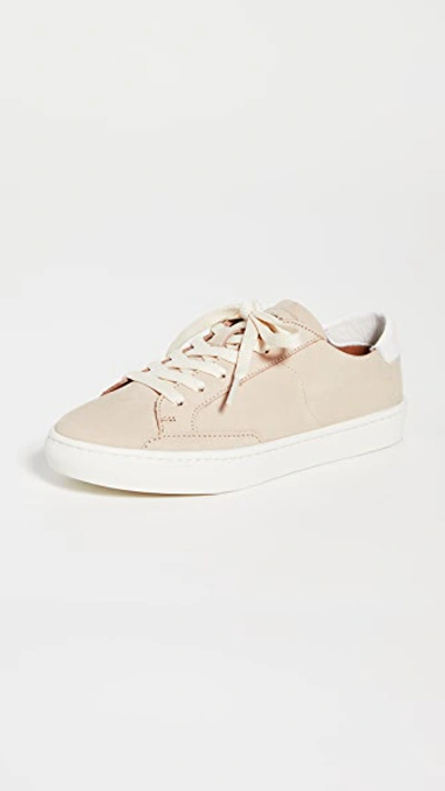 Shop Soludos Ibiza Classic Lace Up Sneakers In Nude