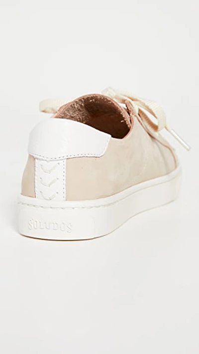 Shop Soludos Ibiza Classic Lace Up Sneakers In Nude