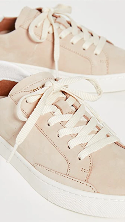 Shop Soludos Ibiza Classic Lace Up Sneakers In Nude